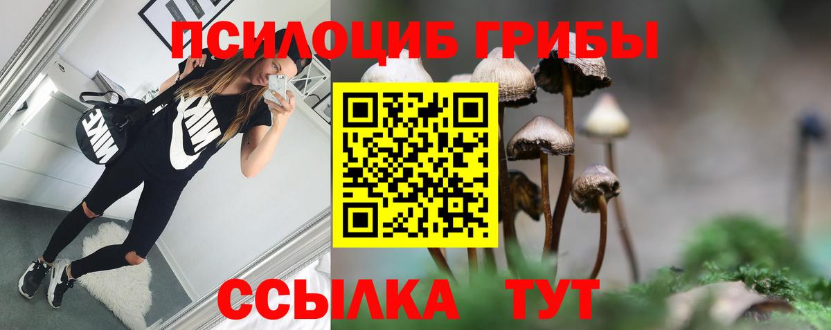 Псков  Галлюциногенные грибы Cubensis  Вход с VPN 